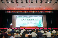 <b>细致呈现了出口规模、产物布局、商业伙伴及次</b>